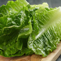 Lettuce, Romaine