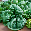 Spinach